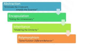 4 đặc tính cơ bản.