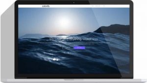 shapely wordpress theme
