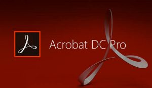 acrobat pro 2022 là gì?