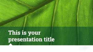 mẫu powerpoint về thực vật