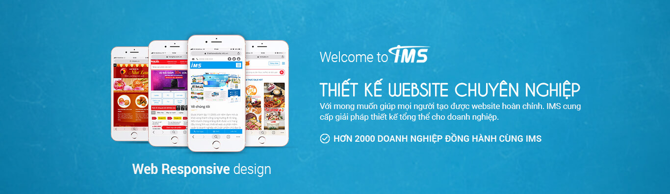 Công ty thiết kế website TPHCM IMS