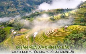 i săn mùa lúa chín Tây Bắc