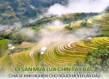 i săn mùa lúa chín Tây Bắc