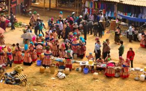 địa điểm mua trái cây hà giang