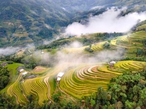 Hoàng Su Phì