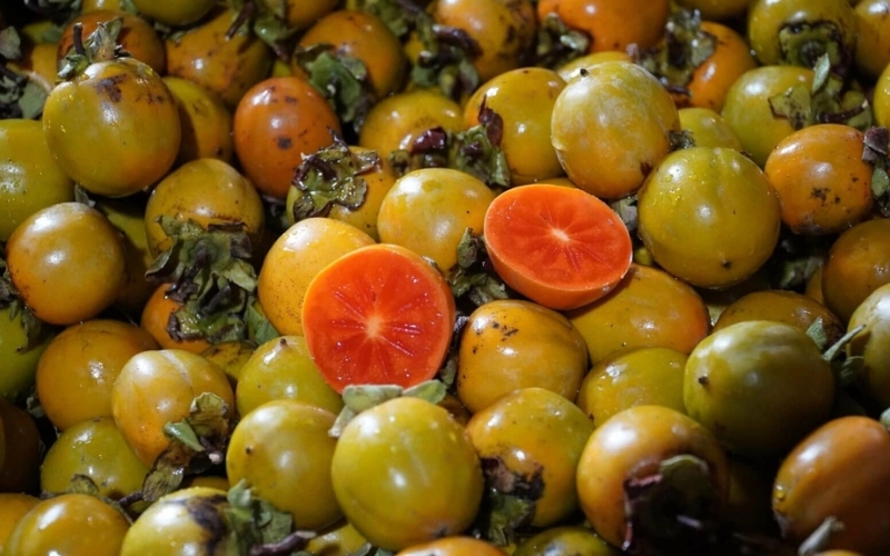 Hồng không hạt Hà Giang