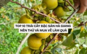trái cây đặc sản