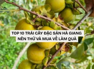 trái cây đặc sản