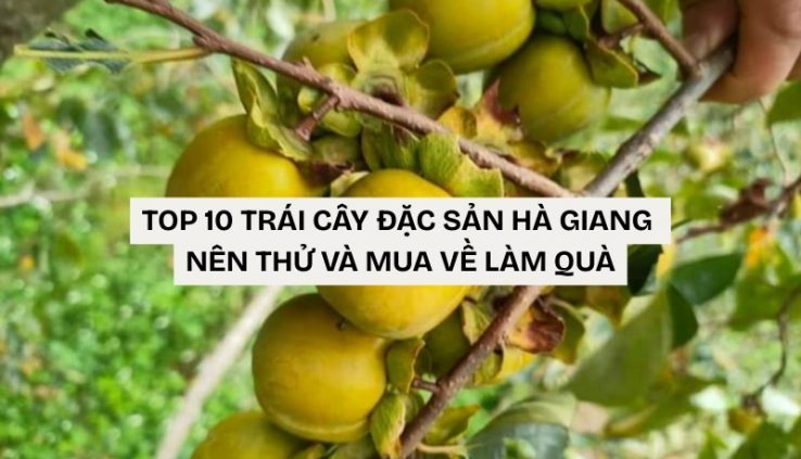 trái cây đặc sản