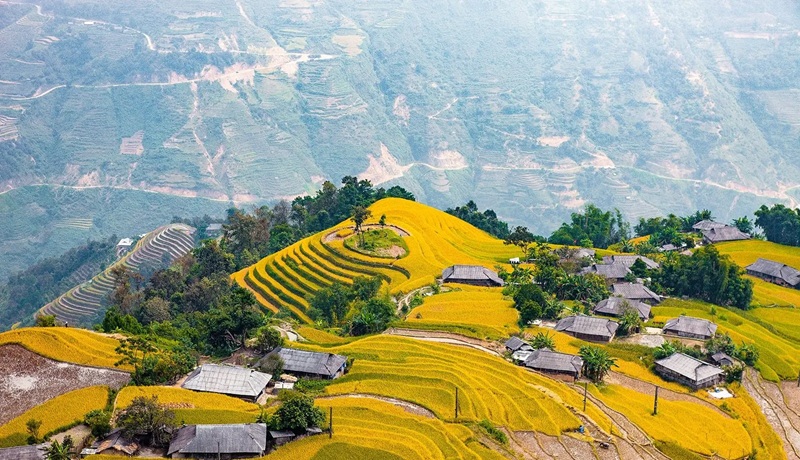 Trải nghiệm khi đi săn mùa lúa chín Tây Bắc