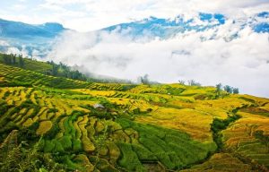 Y Tý (Lào Cai)
