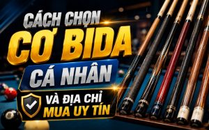 cách chọn cơ bida