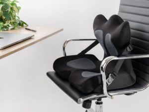 lót ghế công thái học