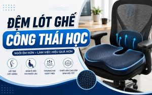 lót ghế công thái học