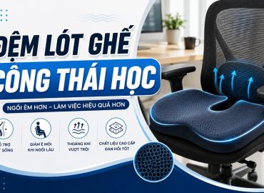 lót ghế công thái học