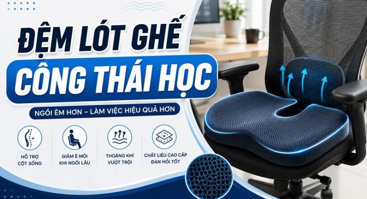 lót ghế công thái học