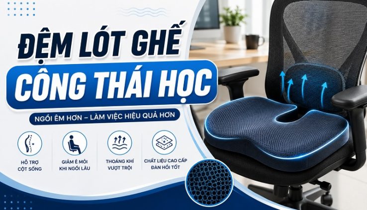 lót ghế công thái học